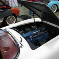 2009 11-21 Muscle car Show 066