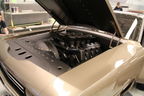 2013 01-20 Rad Rides 69 Torino (181)