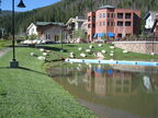 2011 07-31 Denver Pond Crossing (3) (Large)