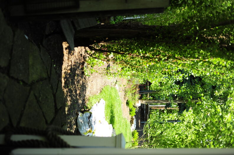2010, 05-29 Frae's Garden 662 (Large).JPG